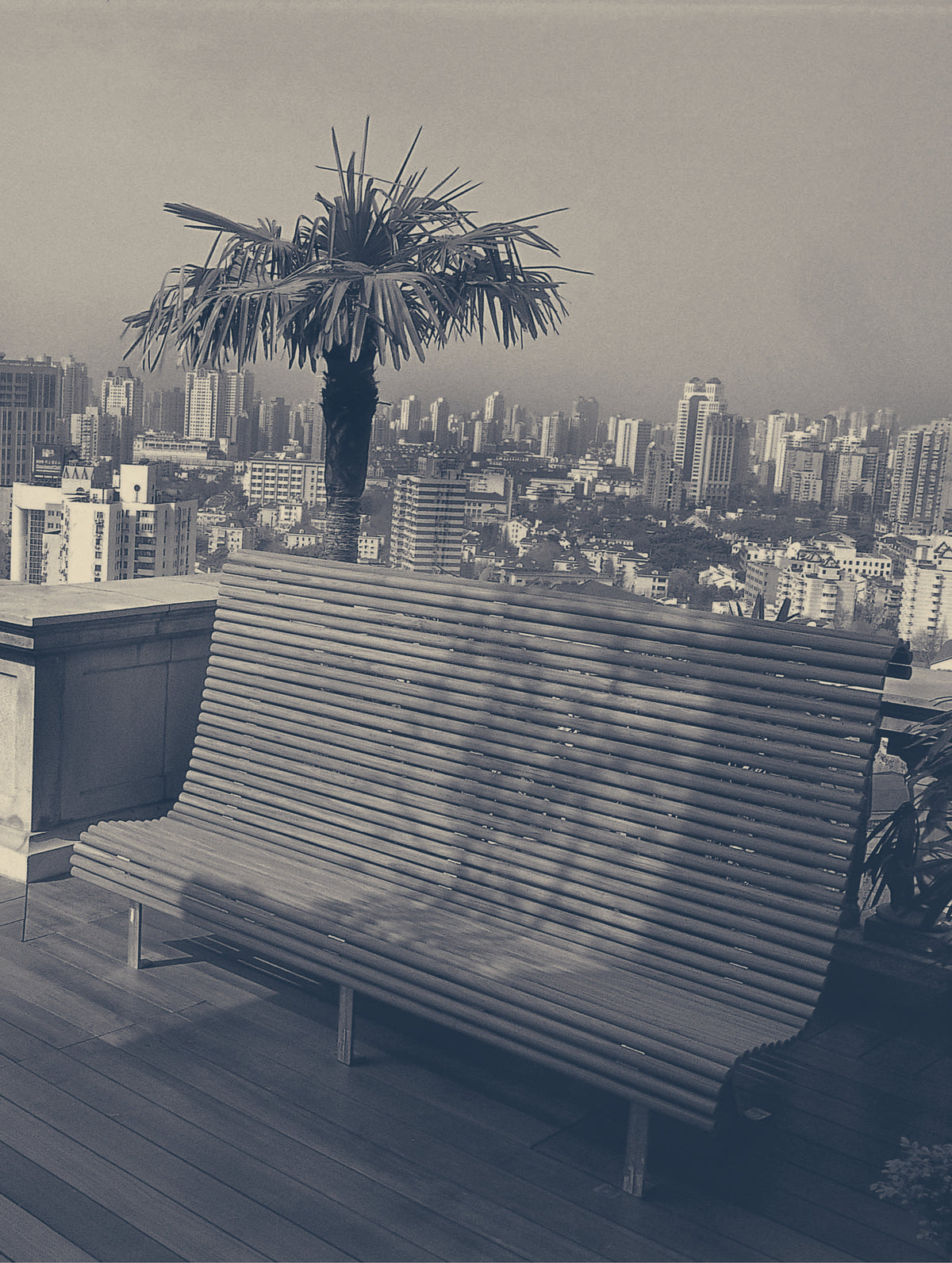 Banc Eléphant par Andrée Putman.
Shanghai, c. 2004.